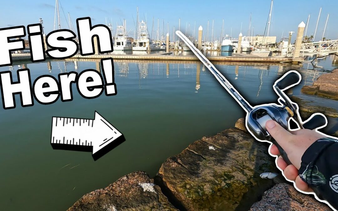 The BEST Fishing Spot in Port Aransas, Texas! (Jetty Fishing)